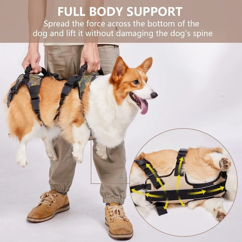 Coodeo Dog Lift Harness, Full Body Support & Recovery Sling